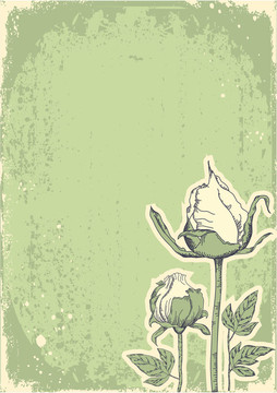 老式花postacardfor垃圾圖像設計。