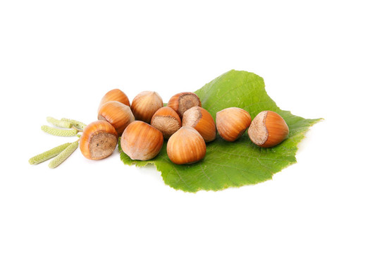 蕾秋榛子精彩觀點(diǎn)。