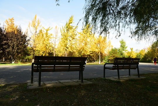 公園座椅