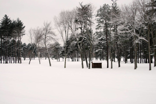下雪的場景