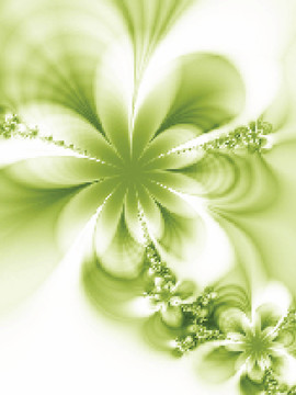 白色背景上的美麗的花