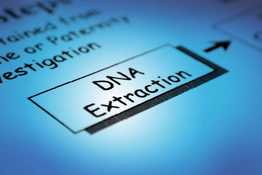 DNA的提取