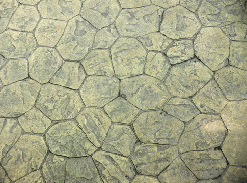 瓷磚鋪貼