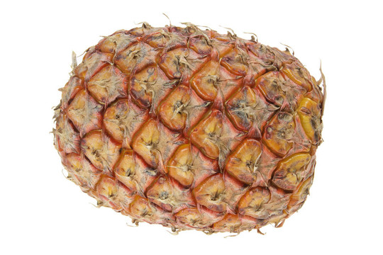 成熟的菠蘿