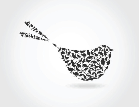 bird6