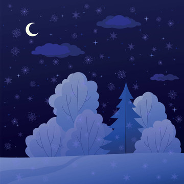 景觀；夜間冬季森林