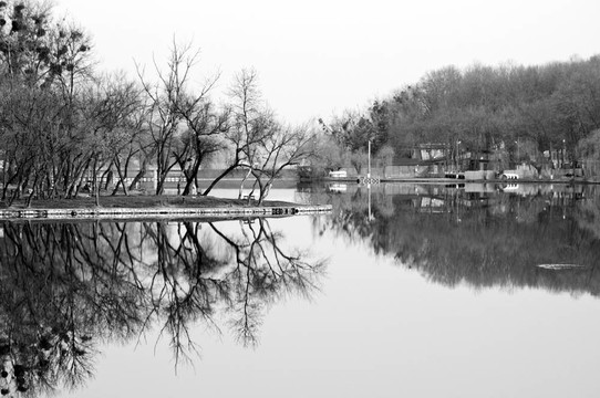 春天的風(fēng)景
