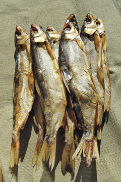 冷熏鮭魚