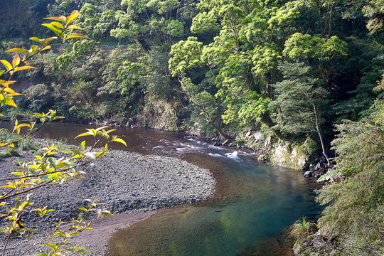 山；樹與河