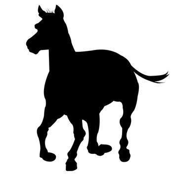 白色的馬剪影