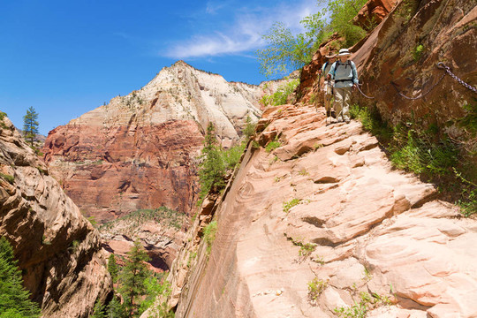 徒步旅行者在Zion
