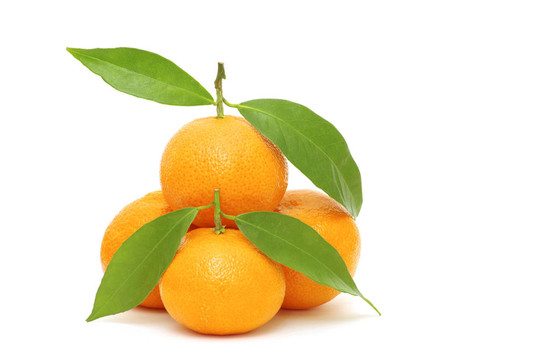 Tangerine夜店