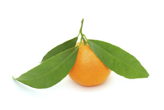Tangerine夜店