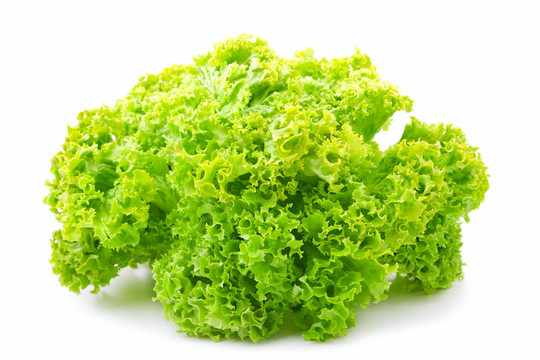白色新鮮生菜生菜