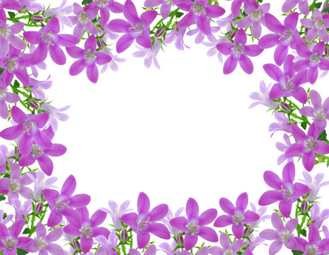 花框