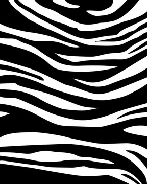 zebraskin