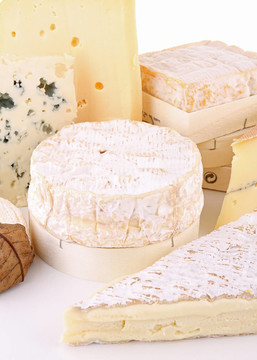 各種各樣的cheeese