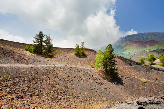 在水泥地面上的火山Etna山路