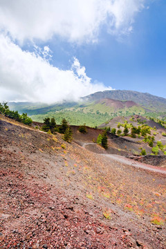 在水泥地面上的火山Etna山路