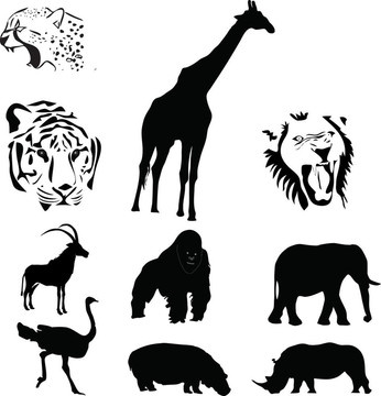 非洲動物大集合
