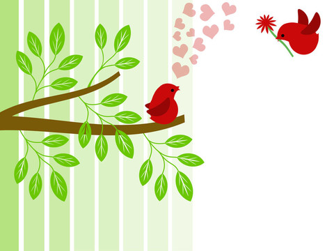 情人節(jié)，對(duì)愛情鳥