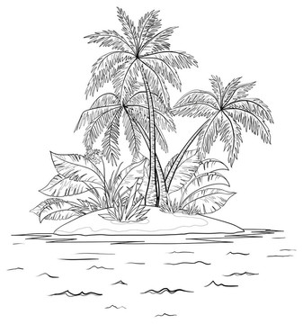 棕櫚島；輪廓