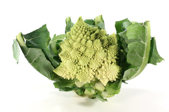 清新明亮的羅馬花椰菜