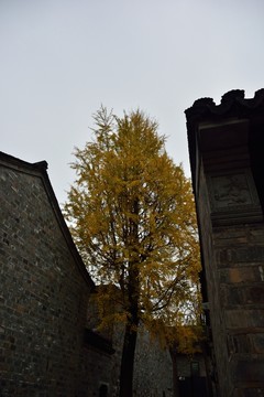 秋色