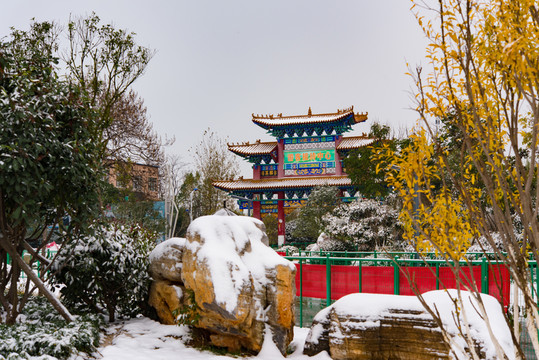 雪景