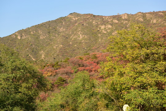 山巒秋色