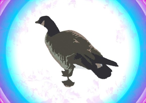 鵝去