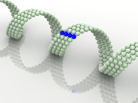 基因在DNA
