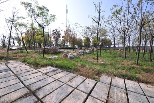 公園風(fēng)景