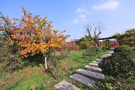 公園風(fēng)景  園林景觀