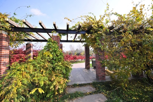 涼亭   園林建筑