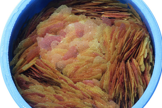 魚食片摘要