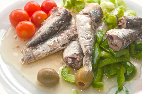 沙丁油魚