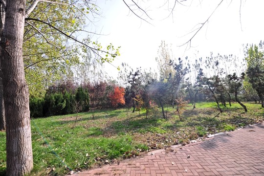 園林景觀  公園風(fēng)景
