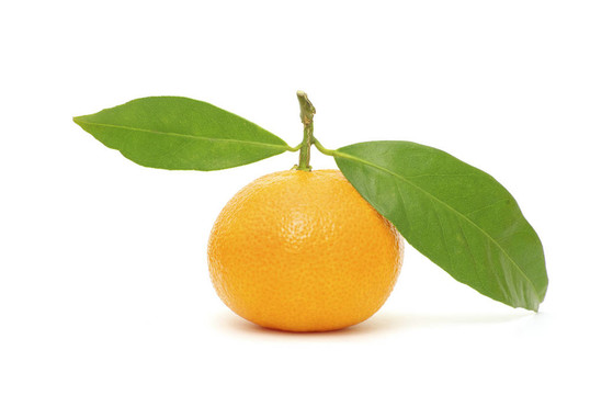 Tangerine夜店