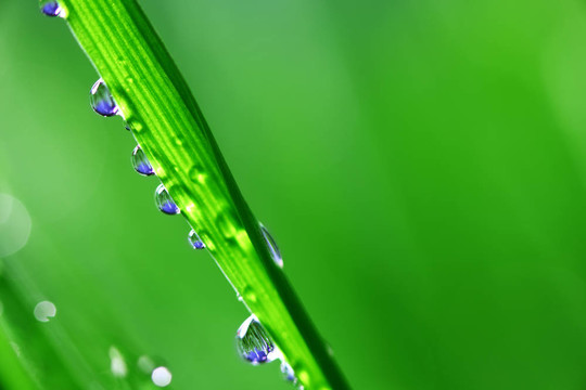 大水滴