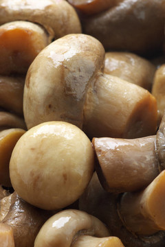 腌蘑菇
