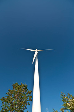 大樹和藍天的大型風力渦輪機