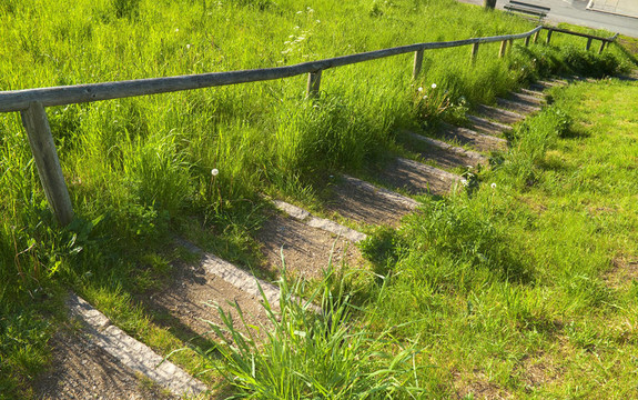 在夏天的光staircas