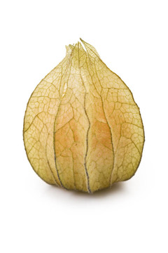 酸漿果實
