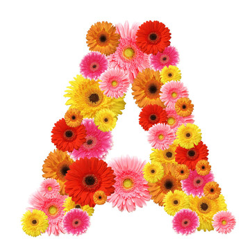 一個(gè)孤立點(diǎn)；字母花