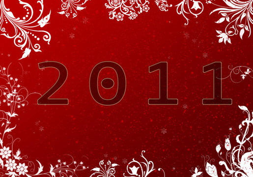 2011年
