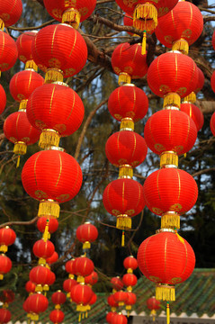 喜慶的中國紅燈籠裝飾