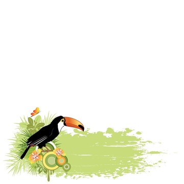 夏日旗幟與熱帶鳥(niǎo)和棕櫚