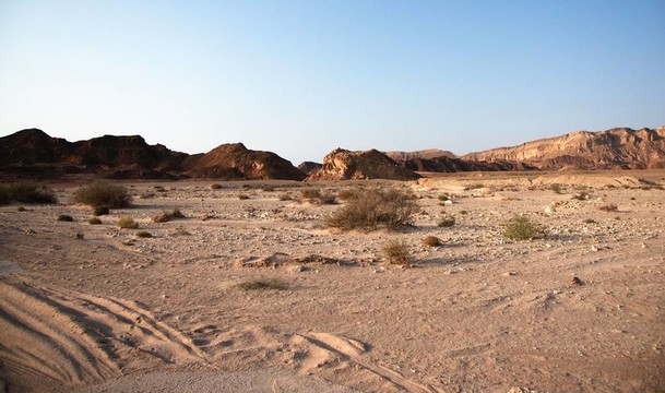 在Arava沙漠旅行