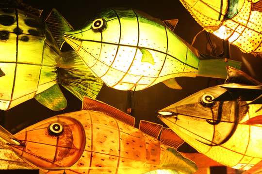 魚燈